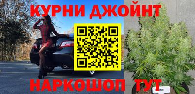 тгк Пушкино