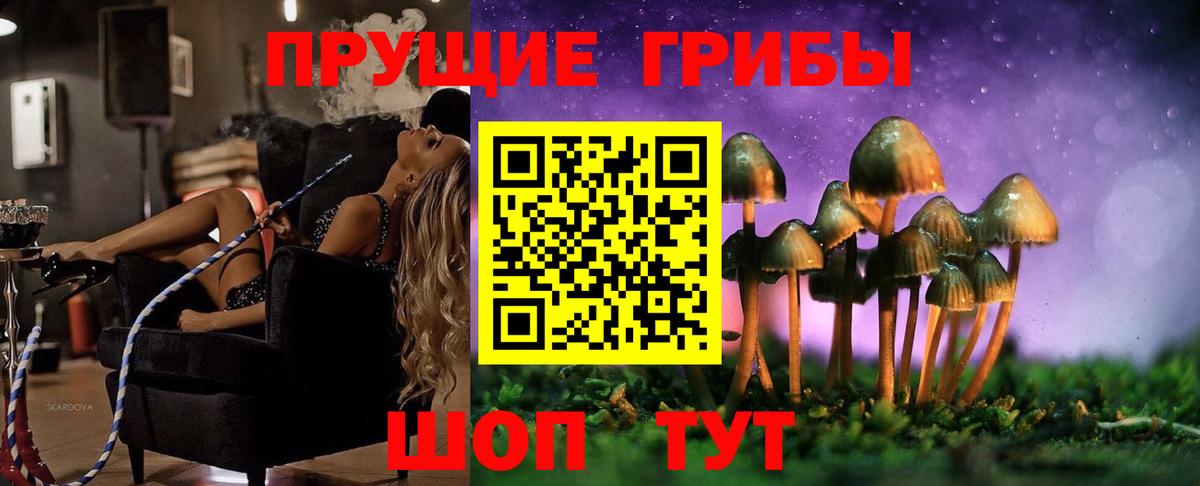 Сегежа  Псилоцибиновые грибы Cubensis  Вход с VPN 